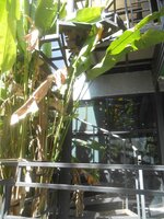 DSCN4858~2.JPG DSCN4858~2.JPG