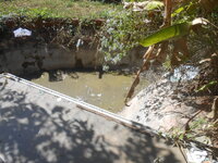 DSCN4857.JPG DSCN4857.JPG