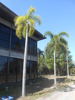 DSCN4873~2.JPG DSCN4873~2.JPG