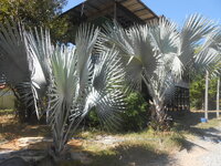 DSCN4878.JPG DSCN4878.JPG