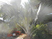 DSCN4876.JPG DSCN4876.JPG