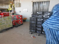 DSCN4884.JPG DSCN4884.JPG