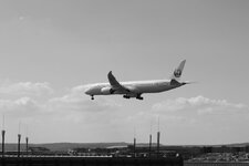 Duitsland-Frankfurt ''Flughafen-Japan Airlines Airbus A350'' (2).JPG