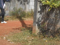 DSCN4752.JPG DSCN4752.JPG