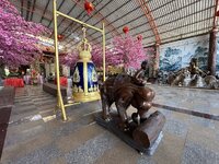 IMG_3619.jpeg IMG_3619.jpeg