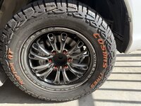 Mittel (IMG_9020).jpeg