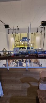 1000019834.jpg 1000019834.jpg