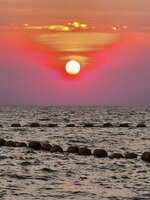 WhatsApp Image 2026-02-10 at 15.39.13.jpeg