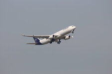 Duitsland-Frankfurt ''Flughafen-Lufthansa'' (11).JPG