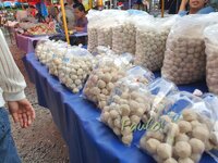 50574365gl.jpg 50574365gl.jpg