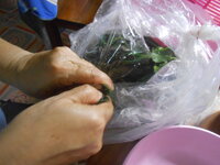 DSCN5029.JPG DSCN5029.JPG