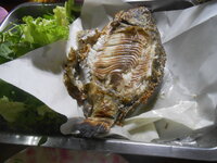 DSCN5033.JPG DSCN5033.JPG