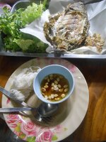 DSCN5037~3.JPG DSCN5037~3.JPG