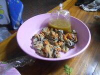 DSCN5034.JPG DSCN5034.JPG