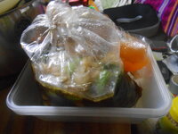 DSCN5036.JPG DSCN5036.JPG