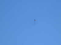 DSCN4554.JPG DSCN4554.JPG