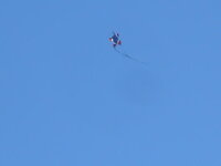 DSCN4556.JPG DSCN4556.JPG