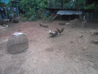 DSCN4793.JPG DSCN4793.JPG