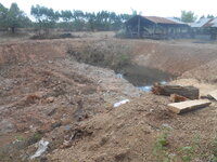 DSCN5174.JPG DSCN5174.JPG