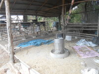 DSCN5177.JPG DSCN5177.JPG