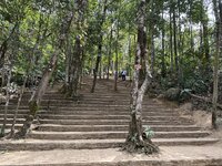 IMG_7035.jpeg IMG_7035.jpeg