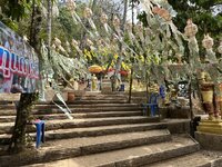 IMG_7041.jpeg IMG_7041.jpeg