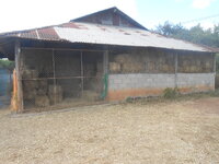 DSCN5182.JPG DSCN5182.JPG