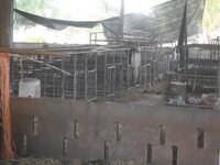 DSCN5187.JPG DSCN5187.JPG