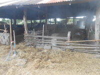 DSCN5183.JPG DSCN5183.JPG