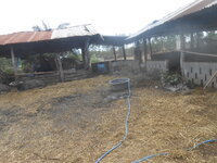 DSCN5184.JPG DSCN5184.JPG