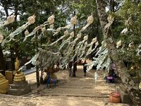 IMG_7042.jpeg IMG_7042.jpeg