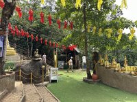 IMG_7043.jpeg IMG_7043.jpeg