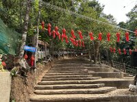 IMG_7046.jpeg IMG_7046.jpeg