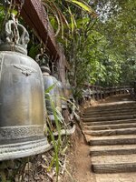 IMG_7047.jpeg IMG_7047.jpeg