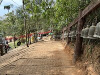 IMG_7048.jpeg IMG_7048.jpeg