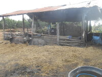 DSCN5191.JPG DSCN5191.JPG