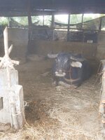 DSCN5190~2.JPG DSCN5190~2.JPG