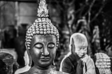 DSC01233.jpg DSC01233.jpg