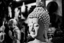 DSC01231.jpg DSC01231.jpg