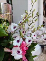 2025-03-15 12.58.30.jpg