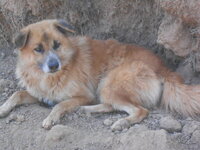 DSCN5552.JPG DSCN5552.JPG