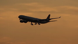 Duitsland-Frankfurt ''Flughafen-Lufthansa Airbus A340-600'' (12).jpg