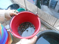 DSCN5625.JPG DSCN5625.JPG