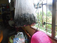 DSCN5624.JPG DSCN5624.JPG