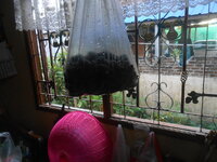 DSCN5623.JPG DSCN5623.JPG