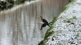 20260219_102055.jpg 20260219_102055.jpg