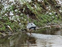 20260219_102122.jpg 20260219_102122.jpg