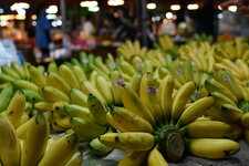 55033410621_ba5a32cd0e_h.jpg 55033410621_ba5a32cd0e_h.jpg