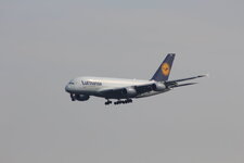 Duitsland-Frankfurt ''Flughafen-Lufthansa Airbus A380'' (11).JPG