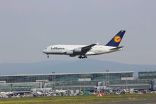 Duitsland-Frankfurt ''Flughafen-Lufthansa Airbus A380'' (14).JPG